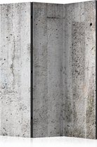 Kamerscherm - Scheidingswand - Vouwscherm - Grey Emperor [Room Dividers] 135x172 - Artgeist Vouwscherm