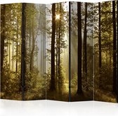 Kamerscherm - Scheidingswand - Vouwscherm - Forest: Morning Sunlight  II [Room Dividers] 225x172 - Artgeist Vouwscherm