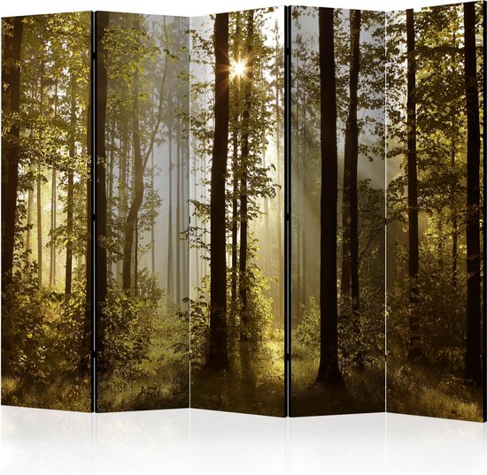 Foto: Kamerscherm scheidingswand vouwscherm forest morning sunlight ii room dividers 225x172 artgeist vouwscherm