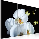 Schilderijen Op Canvas - Schilderij - Besneeuwde orchidee 90x60 - Artgeist Schilderij
