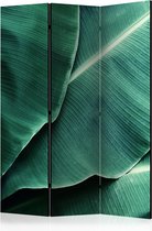 Kamerscherm - Scheidingswand - Vouwscherm - Banana Leaf [Room Dividers] 135x172 - Artgeist Vouwscherm