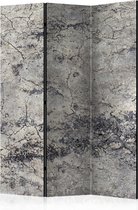 Kamerscherm - Scheidingswand - Vouwscherm - Grey Lady [Room Dividers] 135x172 - Artgeist Vouwscherm