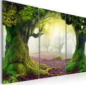Schilderijen Op Canvas - Schilderij - Mysterious forest - triptych 60x40 - Artgeist Schilderij
