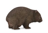Collecta Wilde dieren (M): WOMBAT 6x3.6cm