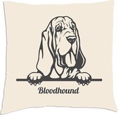 Sierkussen - Bloodhound - Wit - 45 Cm X 45 Cm