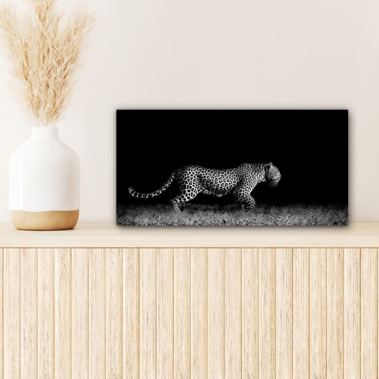 Peinture sur toile - Animaux sauvages - Léopard - Herbe - Zwart - Wit - Canvasdoek - 40x20 cm - Photo sur toile - Décoration murale