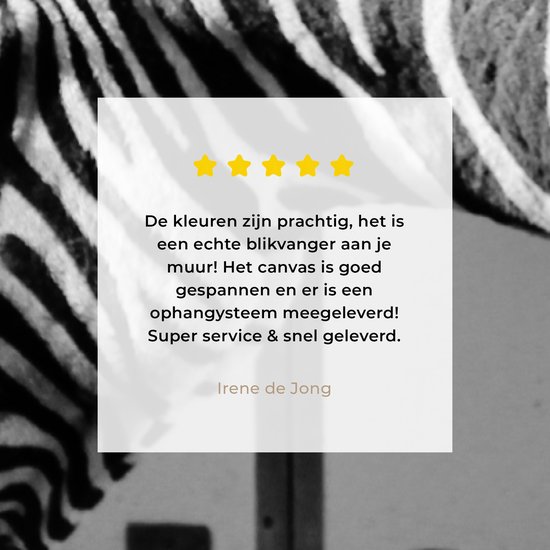Peinture sur toile - Animaux sauvages - Zebra - Mur - Porte - Décoration murale - Toile - 20x40 cm - Tableau sur toile - Décoration de la maison
