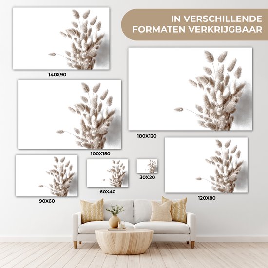 Tableau sur toile Plantes - Plumes - Wit - 120x80 cm - Décoration murale