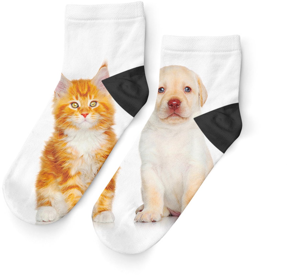 Goby Kat & Hond Enkelsokken – Happy Socks - Grappige Sokken - Vrolijke Sokken - Maat 35–39