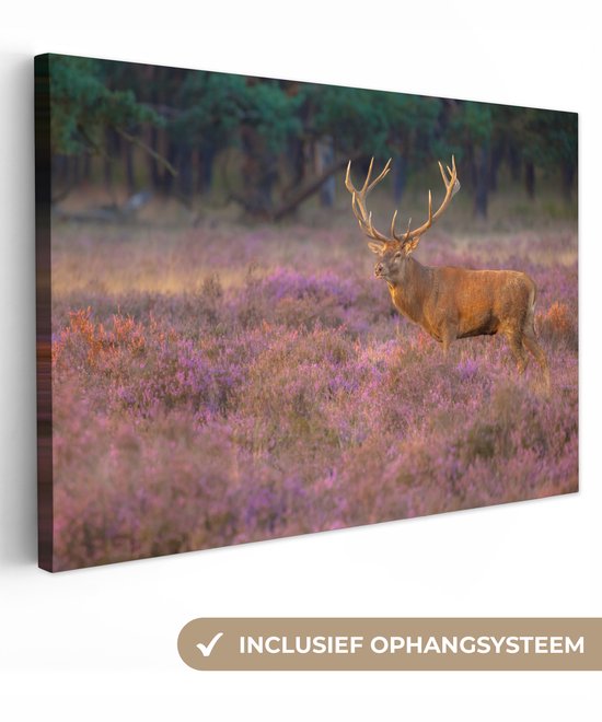 - Canvas - Hert - Gewei - Edelhert - Paars - Veluwe - Bloemen - 90x60 - Kamer decoratie - Wanddecoratie