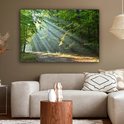 Een bosweg badend in zonlicht dat door de bomen schijnt. Dit kunstwerk hangt in een woonkamer.