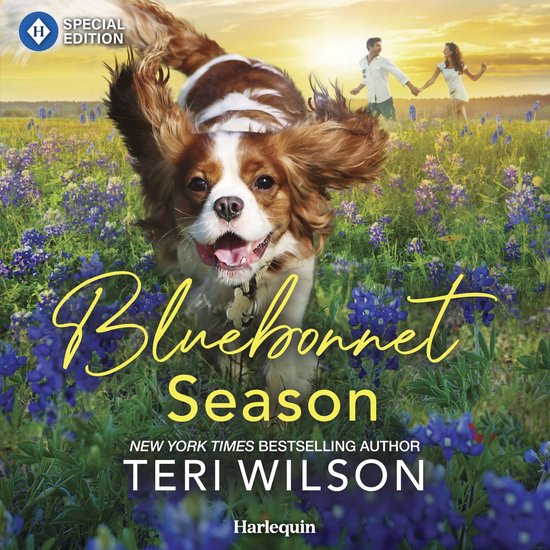 Bluebonnet Season - cover