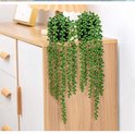 Deux plantes vertes retombantes à feuilles rondes sur une commode en bois.