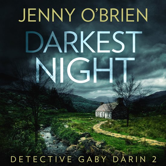Detective Gaby Darin- Darkest Night - cover