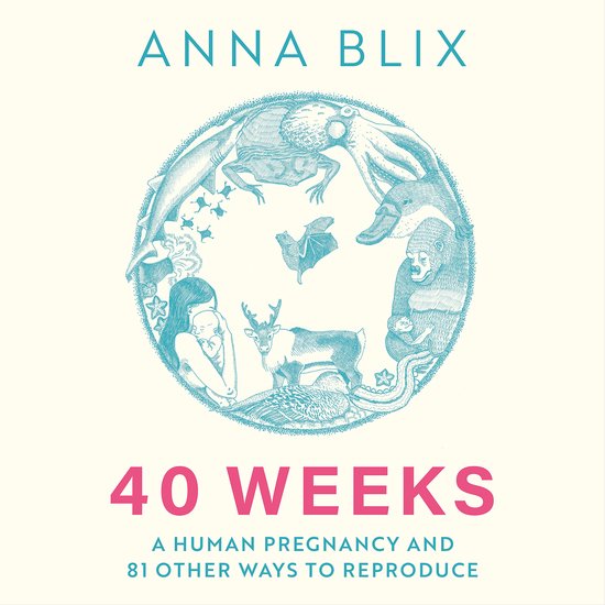 40 Weeks - cover