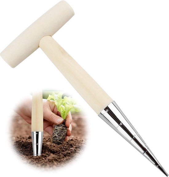 Zaaigoed Van Specifieke Plantenschop Op De Grond En Glazen Pot Met Schroefdop Bedrijfsinfografisch Sjabloon Vector Image255355020