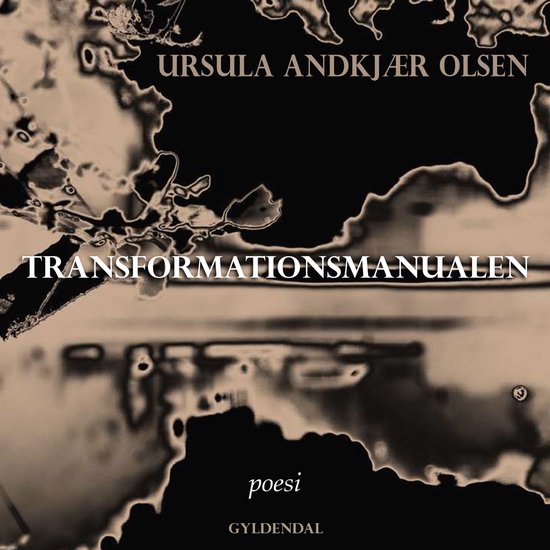 Transformationsmanualen - cover