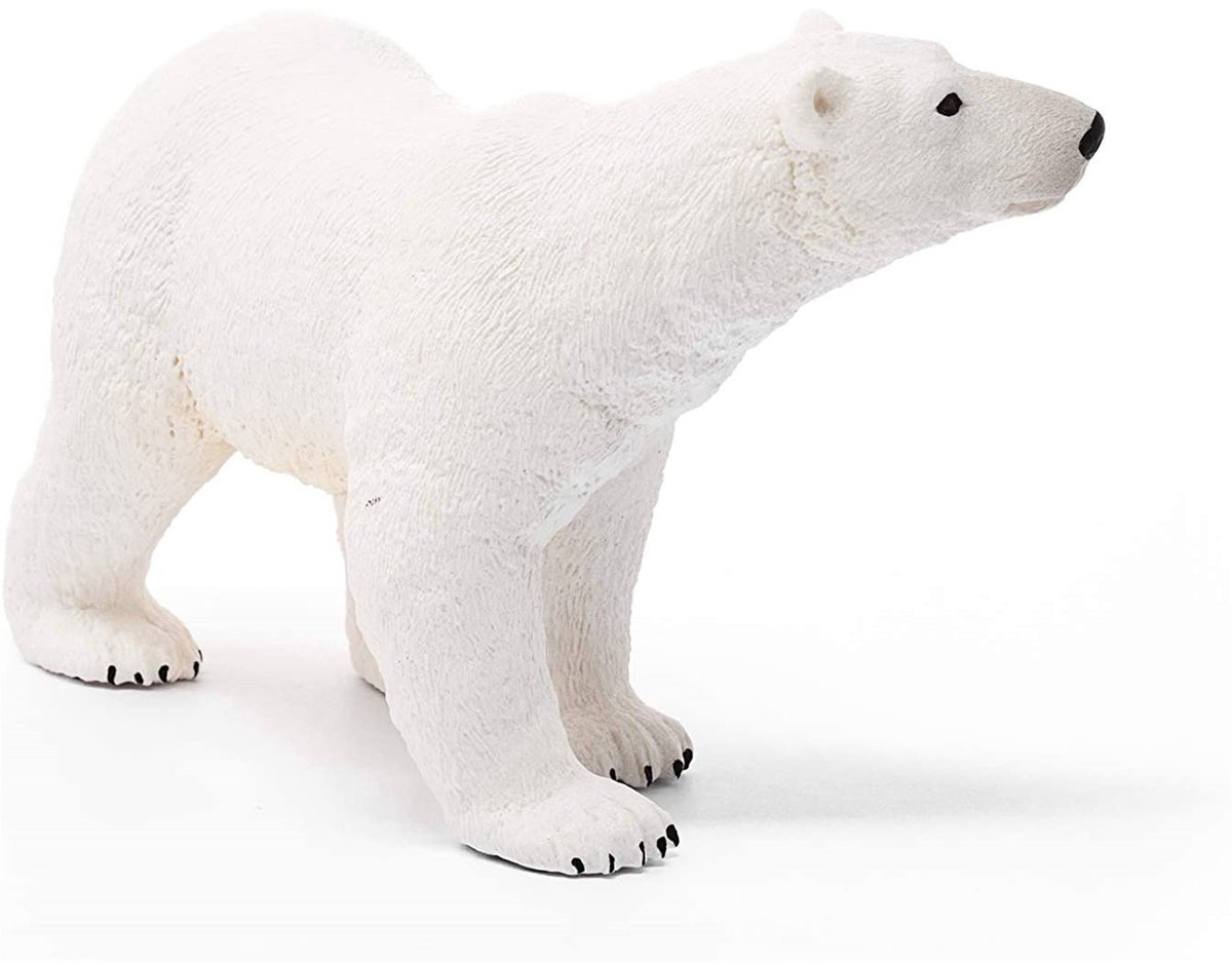 schleich WILD LIFE - Ijsbeer - Speelfiguur - Kinderspeelgoed voor Jongens en Meisjes - 3 tot 8 jaar - 14800 — afbeelding 6