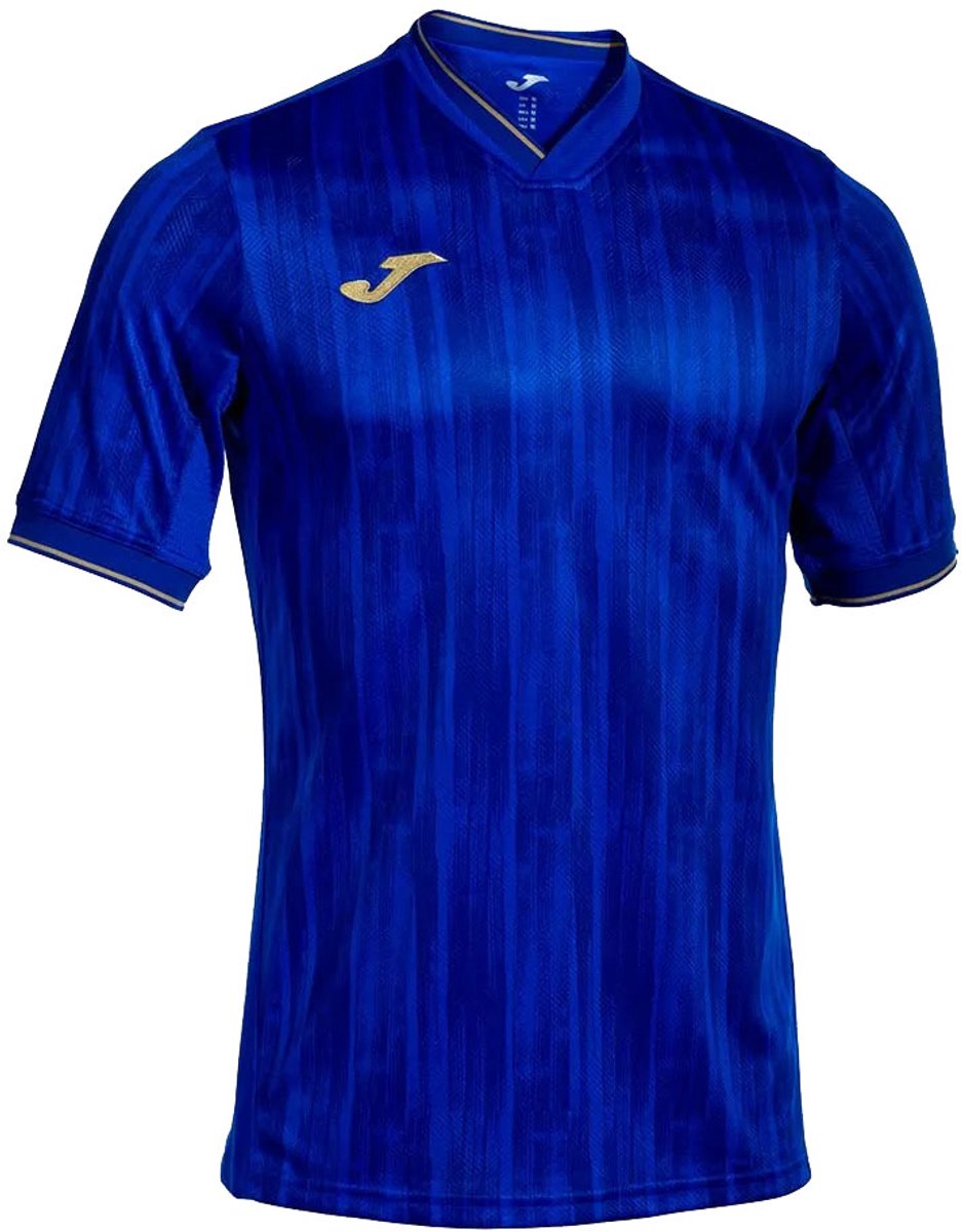 Joma Gold Vi T-shirt Met Korte Mouwen Blauw M Man