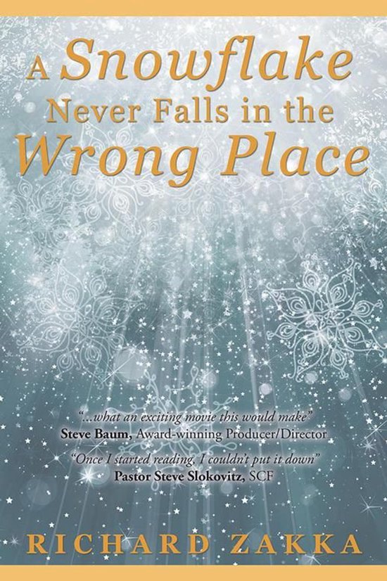 A Snowflake Never Falls in the Wrong Place - cover