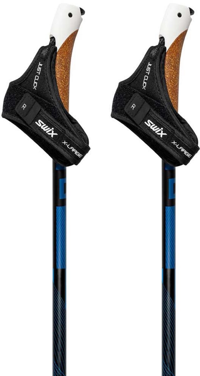 Swix Dynamic D2 Stokken Zwart 145 cm