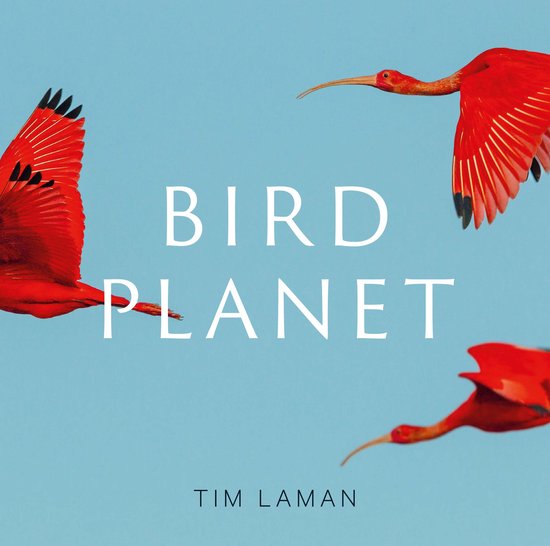 Bird Planet - cover