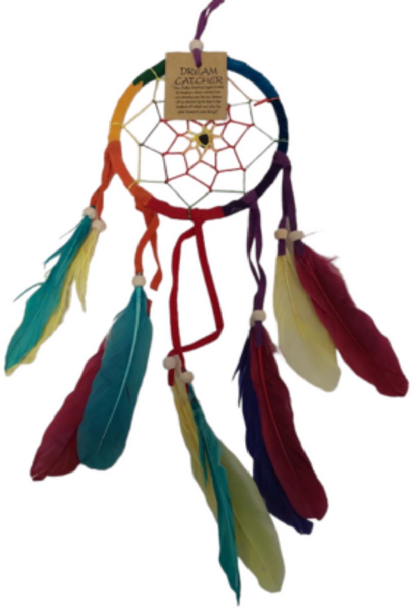 Dromenvanger Rainbow leer 11cm