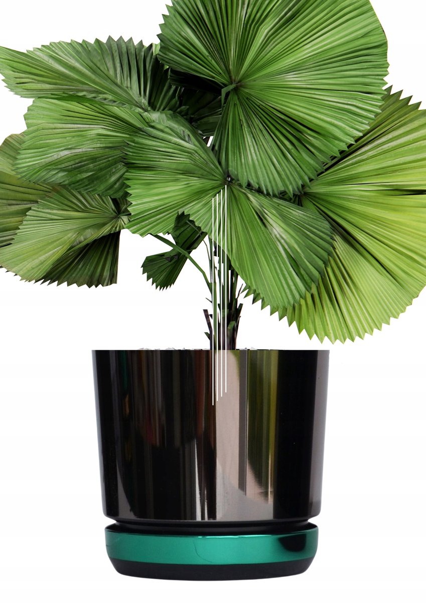 Moderne Duopot Zwart/Groen 26cm met Schotel - Stijlvol & Duurzaam