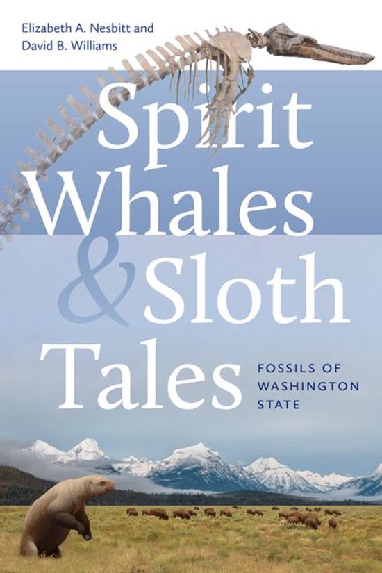 Spirit Whales and Sloth Tales - cover