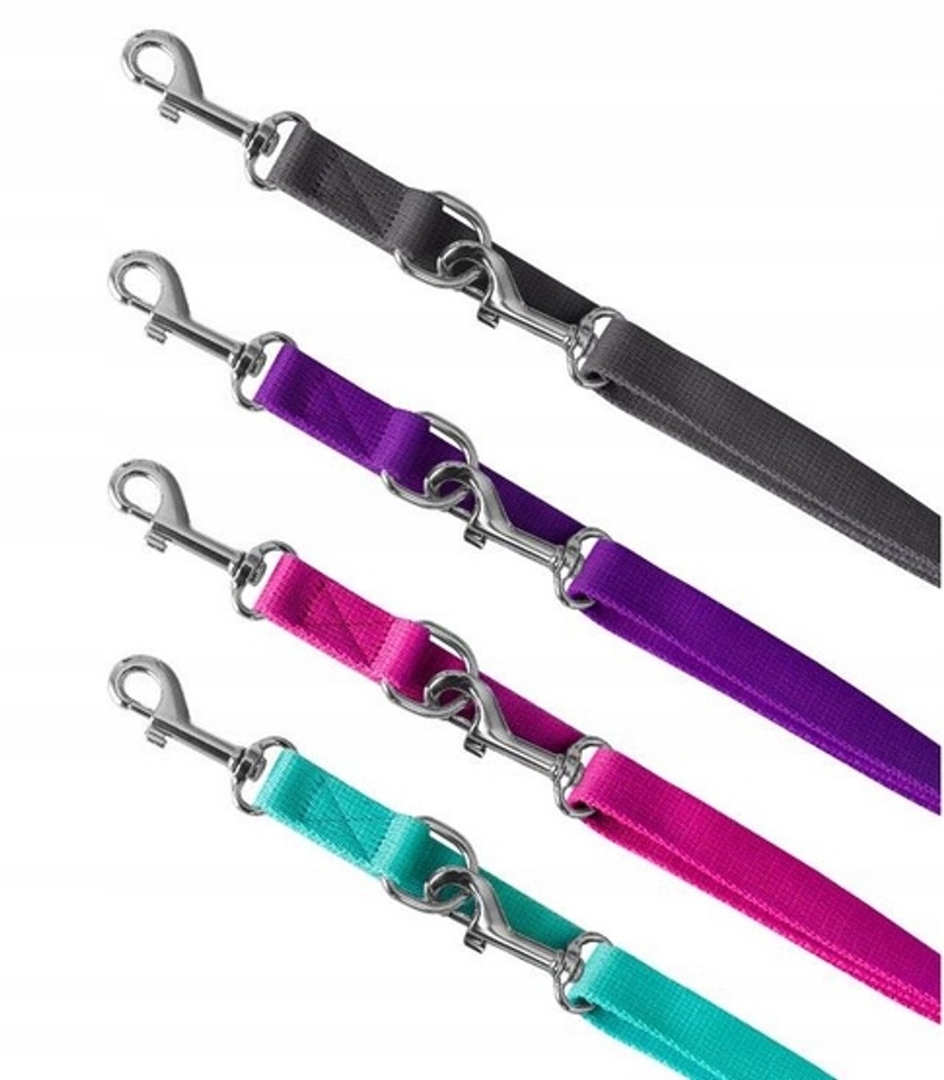 Verstelbare Hondenriem Chaba 10mm - 260cm - Zeegroen