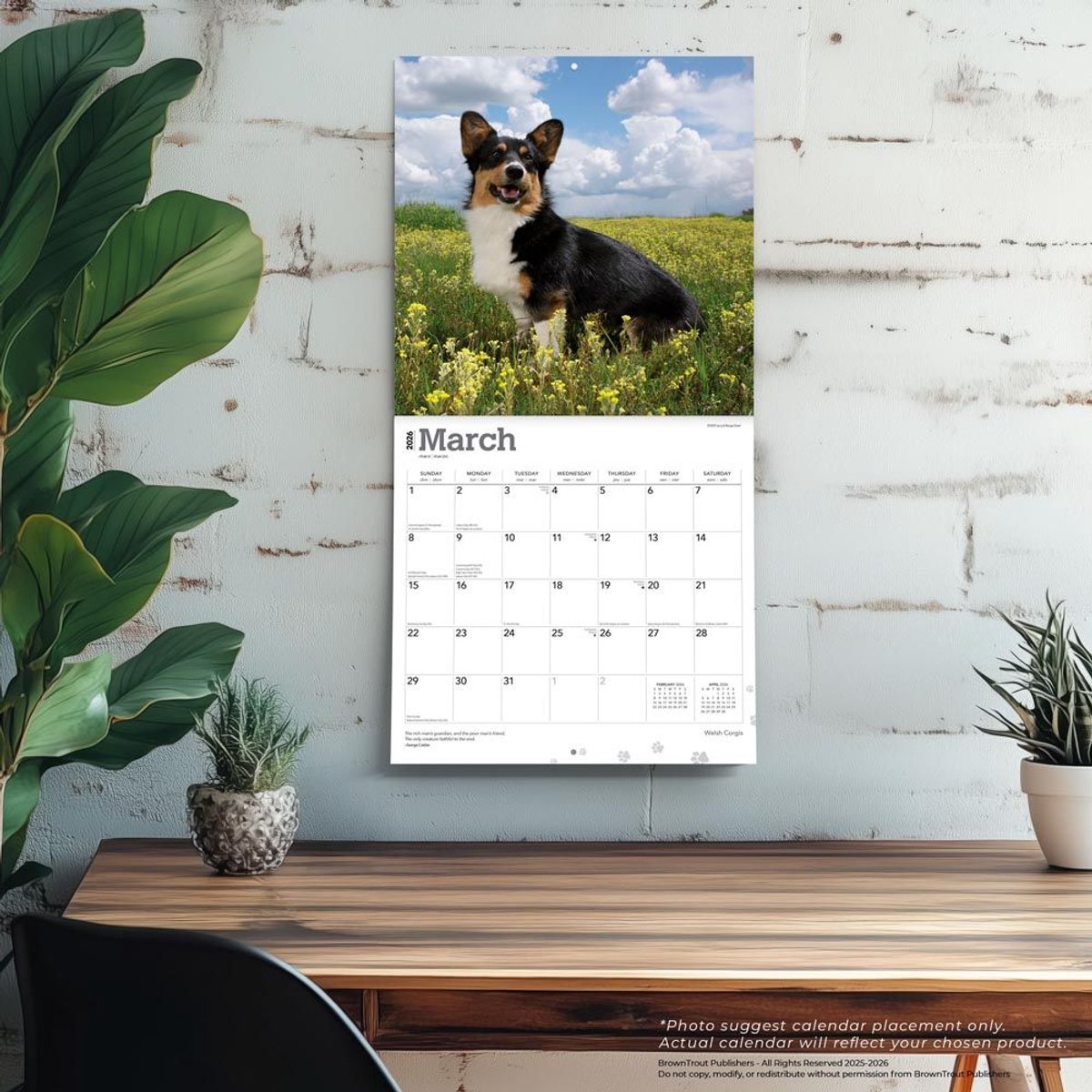 Welsh Corgi Kalender 2026
