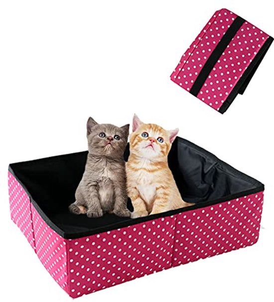 Twee kittens in een opvouwbare roze kattenbak met witte stippen.