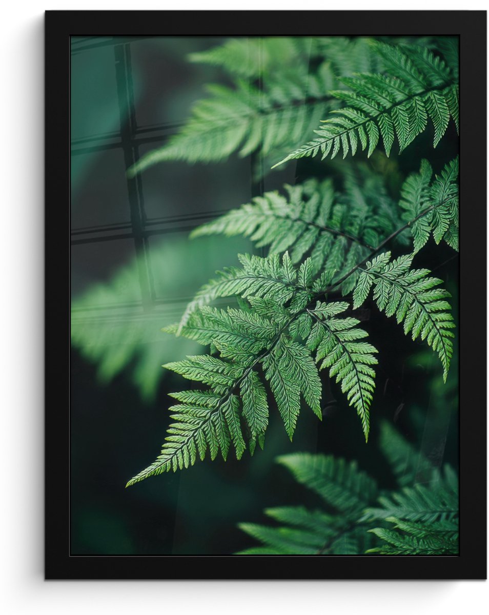 FrameYourWall Poster in lijst - Fotolijst 30x40 cm - Posters - Varenblad - Groen - Structuur - Wazig - Posterlijst zwart - Decoratie - Wanddecoratie woonkamer - Muurdecoratie slaapkamer