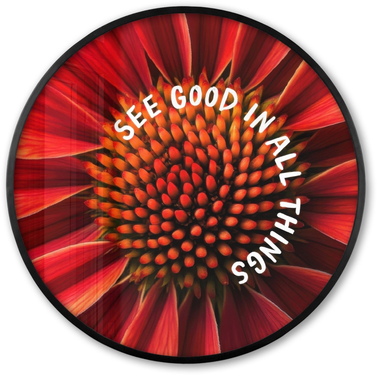 FrameYourWall Poster in lijst Rond - Fotolijst 60x60 cm - Posters - Close up - Bloem - Quote - Rood - Ronde posterlijst zwart - Decoratie - Wanddecoratie woonkamer - Muurdecoratie slaapkamer