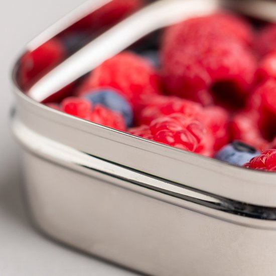 Bols à fruits de Luxe en acier inoxydable - Set de 2 - Boîtes à collation Bols à fruits en acier inoxydable - Enfants - Sans BPA - Talli - Bol à fruits scolaire - Boîte à collation enfant - Boîte à fruits