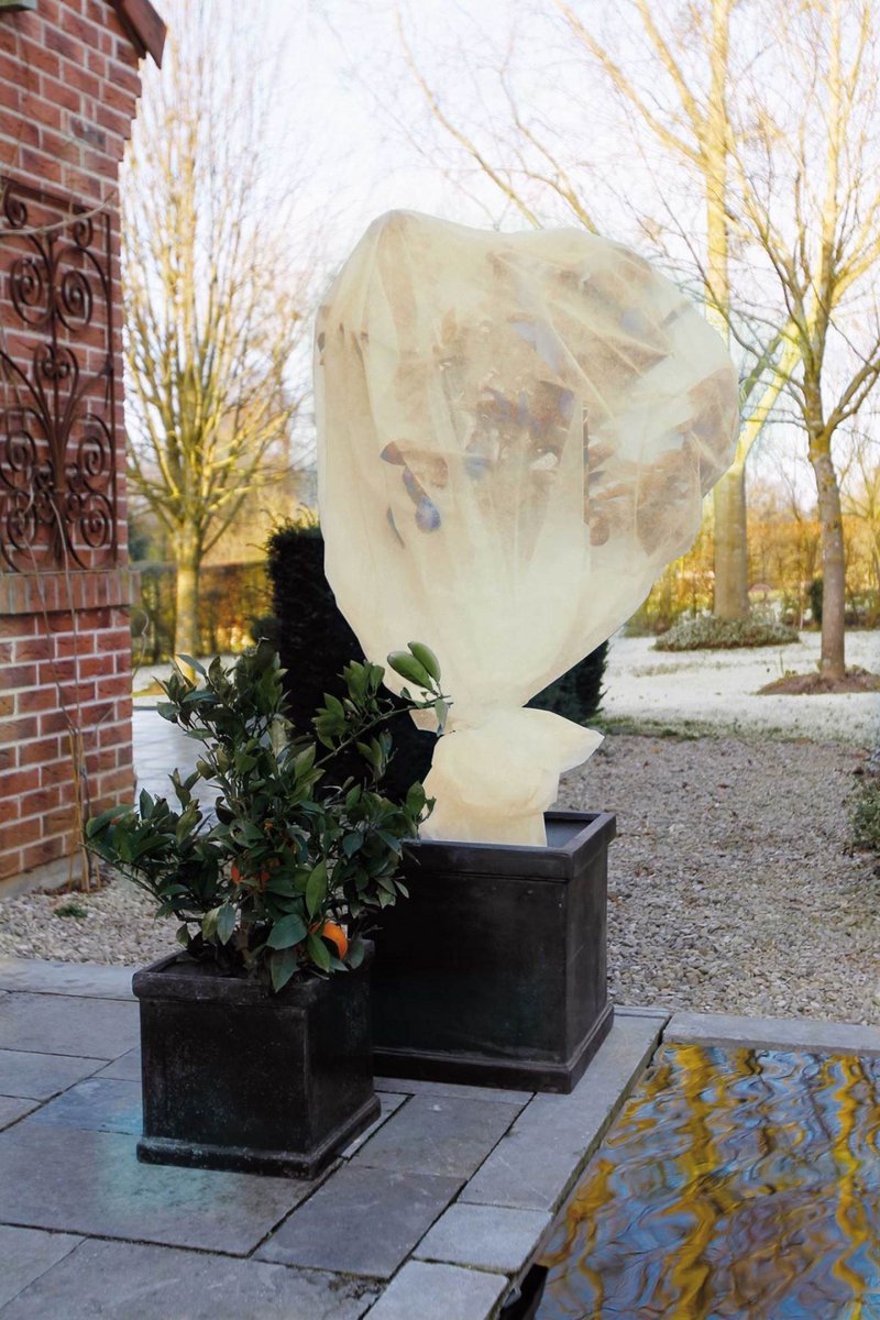 Nature - Winterafdekvlies voor planten - 2 x 10m - 60 g/m² - winterbescherming
