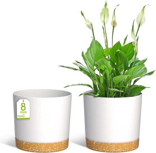 ZMTECH 30cm Plant Potten, Moderne Plantenbakken met Afvoergaten en Afneembare Schotel, Plastic Bloempotten voor Planten voor Huis Tuin Vensterbank (Groen, Set van 3 ZMTECH 30cm Plant Potten, Moderne Plantenbakken met Afvoergaten en Afneembare Schotel, Plastic Bloempotten voor Planten voor Huis Tuin Vensterbank (Groen, Set van 3