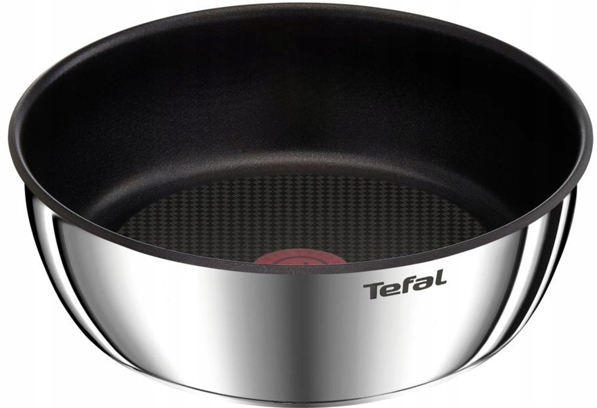 Tefal Ingenio Emotion Koekenpan 24cm - Anti-aanbak, RVS