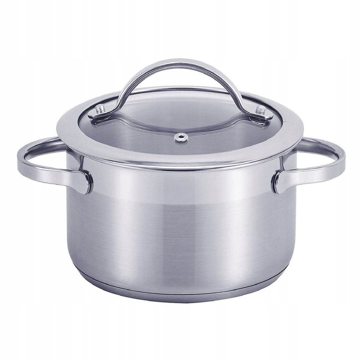 SSW PULPO Inductiepan 3,6L RVS met Glazen Deksel
