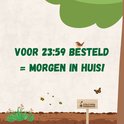 Een bord met de tekst 'Voor 23:59 besteld = Morgen in huis'. Een vogel en vlinder vliegen rond.