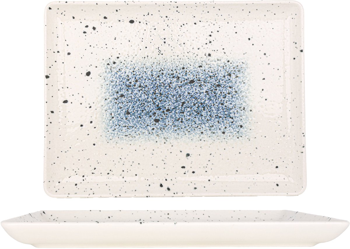 Rinart Serveerschaal - Splash - Porselein - 30x22 cm - set van 2