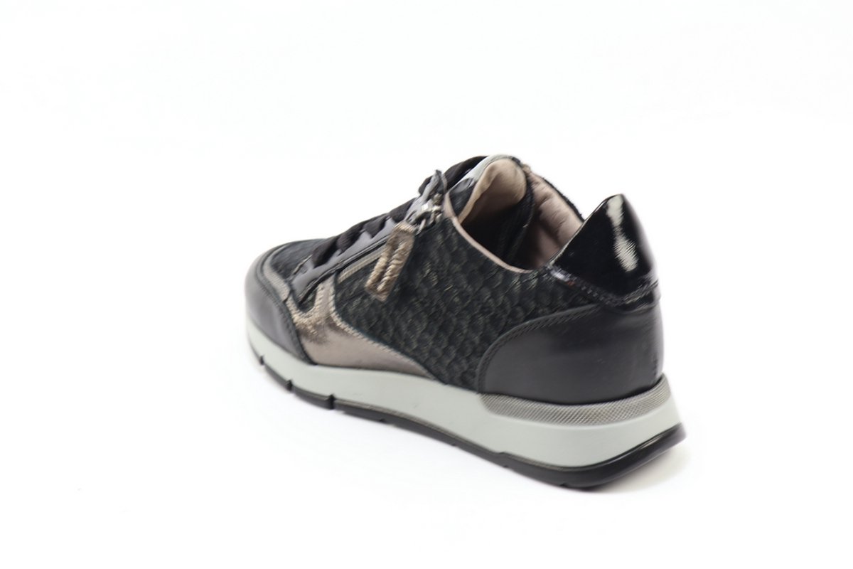 DLSport 6721 versione