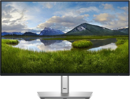 Dell Pro Plus P2425H 24″