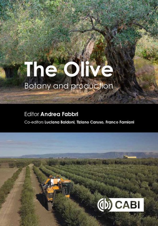 The Olive - cover