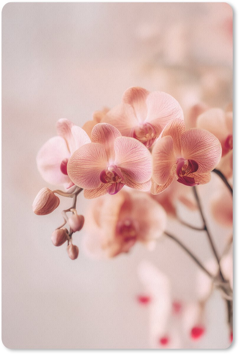 Muismat 18x27 cm - Mousepad Orchidee - Bloemen - Roze - Bloemblaadjes - Muismatten