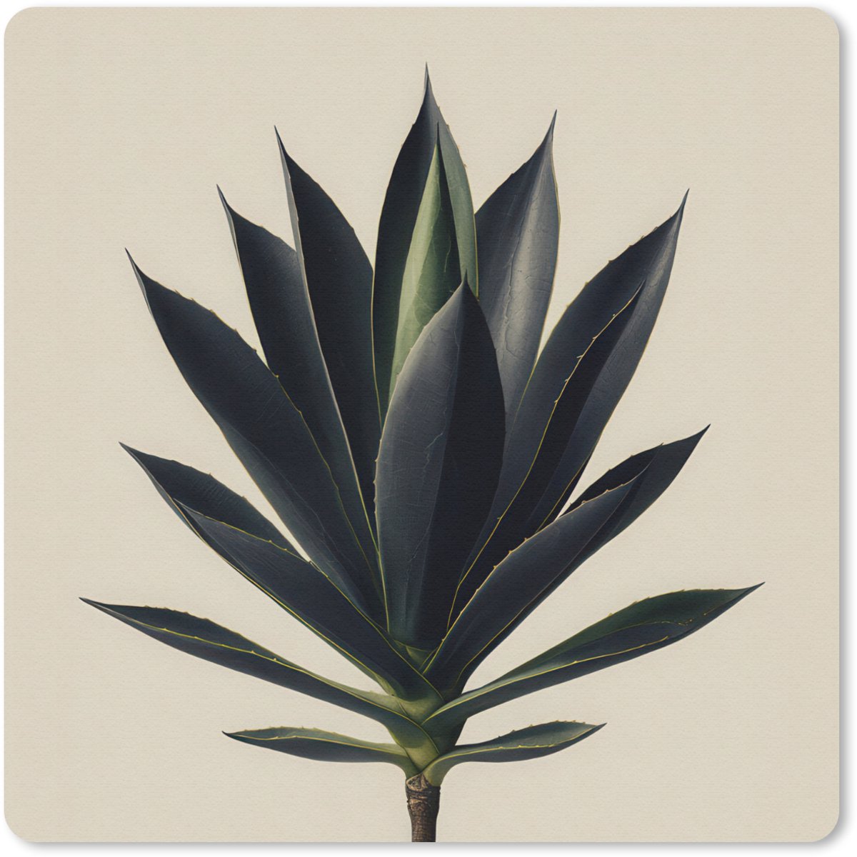Muismat 30x30 cm - Mousepad Agaveplant - Symmetrisch - Groen - Muismatten