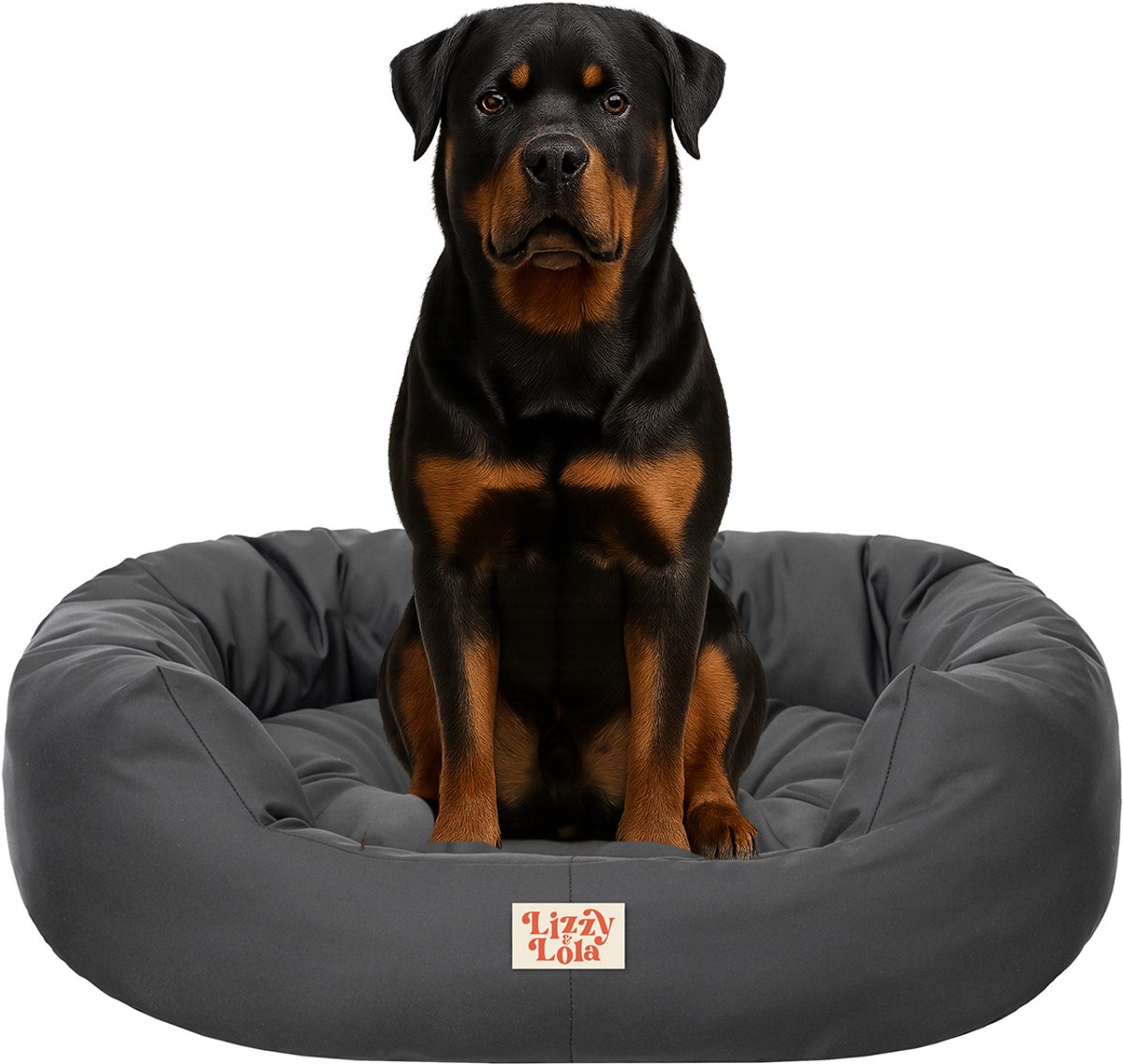 Lizzy & Lola - Amazy Hondenmand XXL - Met uitneembaar kussen – Hondenbed - Waterdicht & Ergonomisch – 120 x 95 cm - Antraciet