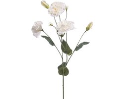 Emerald - Kunstbloem Eustoma 75cm crème - Kunstplant voor binnen