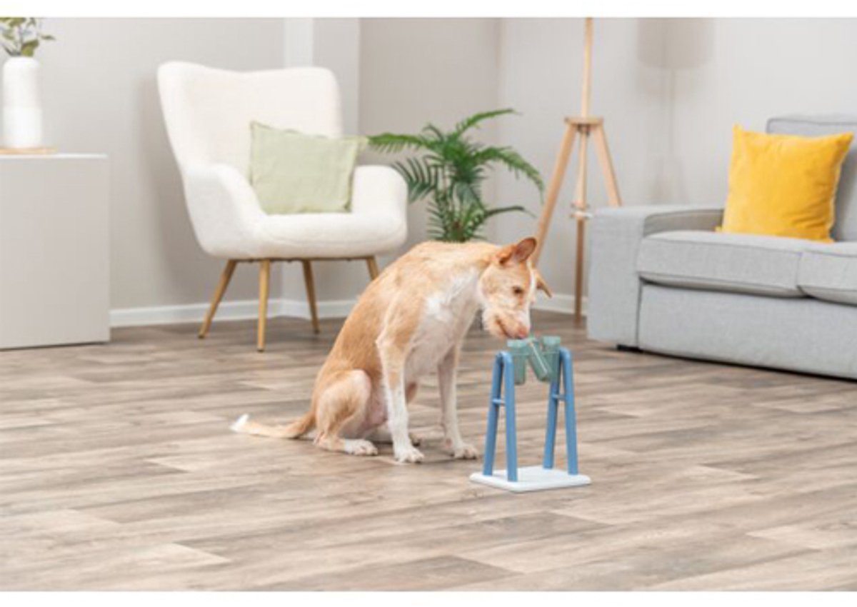 LG Trixie Dog Activity - Honden Speelgoed thumbnail 4