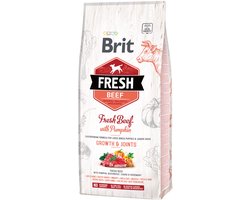 Brit Fresh Beef with Pumpkin Puppy Large - 2,5 kg